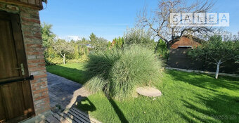 Krásna záhrada v Šali 305 m2 s chatkou pri futbalovom štadió - 8
