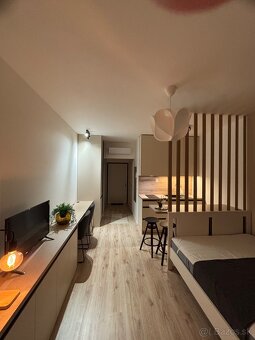 1 izbový byt Slnečnice POP - 8