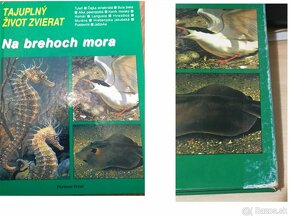 encyklopedie, hoby knizky - 8