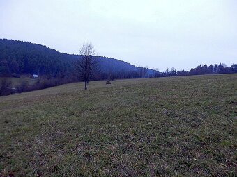 Na predaj veľký pozemok v Jasenici pri Považskej Bystrici - 8