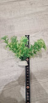 Filter a dekorácia do akvária - 8