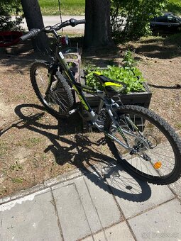 Bicykel CTM WILLY 1.0 - 8