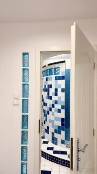 1-izb. byt ul. Fibichova, centrum, v blízkosti Auparku - 8