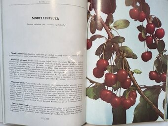 Pavol Cifranič a kolektív - Pomológia - 8