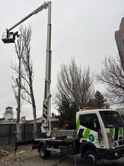 Pílenie stromov, výrub stromov - 8