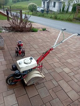 Tera Vari - 8