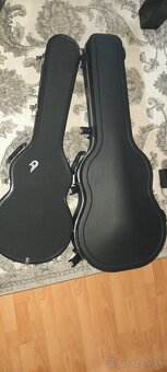 Gitary orig.Dusenberg,Ibanez - 8