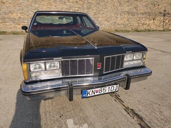 1979 Oldsmobile Delta 88 - 8
