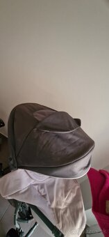 Kočiķ sivoružový - 8