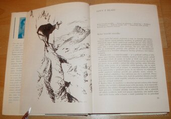 Lovy v Karpatech - 8