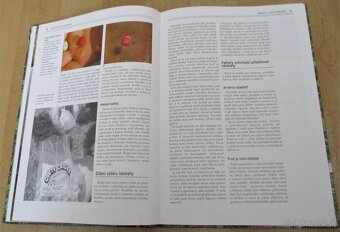 Chytání velkých kapru - 8