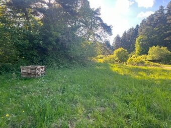 Predaj stavebného pozemku 1002 m² – Trebostovo, pod lesom - 8