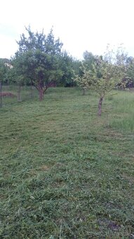 ČISTENIE POZEMKOV💪PÍLENIE DREVA💪KOSENIE KROV.RUČ RYĽOVANIE - 8