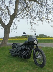 Harley Davidson Street Bob 107 Clubstyle - 8