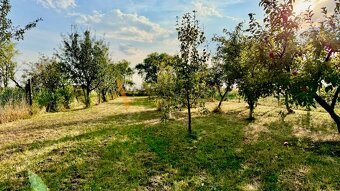 ALL INCLUSIVE | POZEMKY - ZÁHRADY | BLESOVCE | TOPOĽČANY - 8