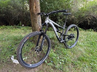 Kellys thorx - 8