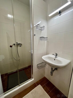 Na prenájom vkusne prerobený 1-izbový byt v Trenčíne - 8