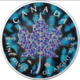 investičné striebro - mince - Maple leaf -  Bejeweled - 8
