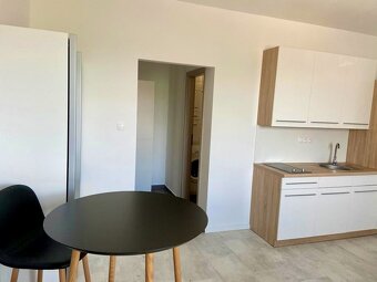 Prenajmem priestrannú garsónku o veľkosti 40 m2 - 8