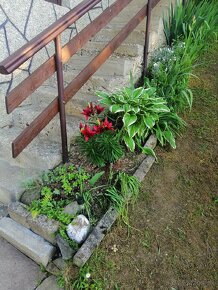 Chata so záhradou - 8