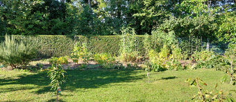 Slnečná vila pre väčšiu rodinu (firmu) len 25km od Bratislav - 8