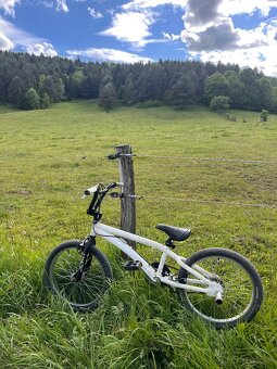 BMX - 8