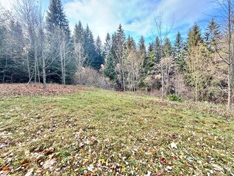 Predaj rekreačného pozemku v Klokočove - 8