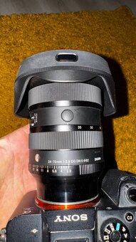 Sony a7 rII Sigma 24-70mm f2.8 DG DN II - 8