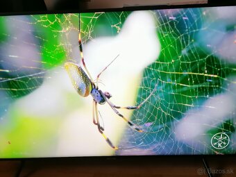 4k smart TV Samsung UE55NU7172U - predám. - 8
