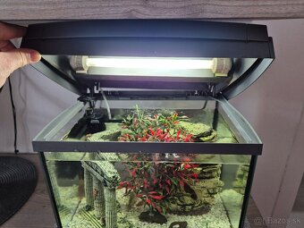 Predam akvarium Tetra - 8