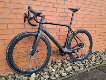 STORCK - FASCENARIO 3 COMP , VEL. M - 8
