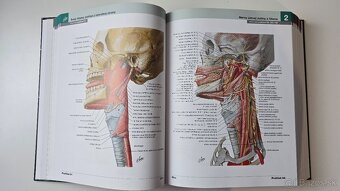 📘 Netterov anatomický atlas, 7. vydanie TOP stav - 8