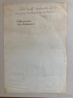 Václ. Bartoň - Na svatbě (1906) 4 orig. fotografie - 8