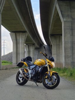 Honda CB600F Hornet 2008 - 8