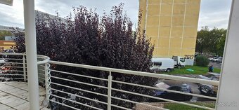 Prenájom 2 izbový byt Topoľčany - 8