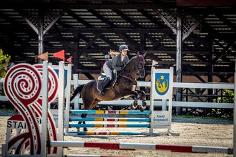 Predám koňa - A1/1, výborny parťák na jazdenie aj prácu - 8