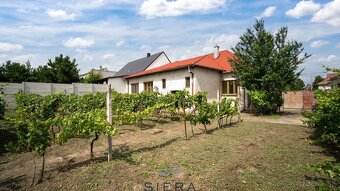 Na predaj, 4 izbový rodinný dom Dvorníky, okres Hlohovec - 8