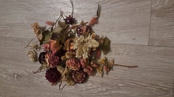 Sušené kvety - 8