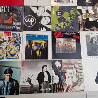 LP-čky...DEBBIE HARRY,BLANDIE,CLASSIC NOUVEAUX,KAJAGOOGOO... - 8