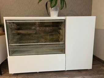 Terarium so skrinkou REZERVOVANE - 8