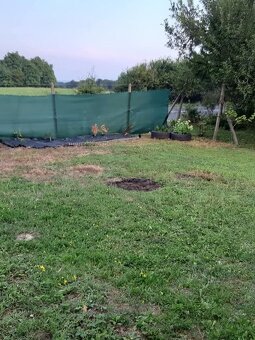 Predám záhradku v osobnom vlastníctve - 8