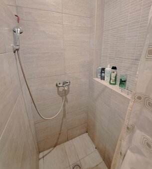 2i RD ( hospodárska usadlosť) v Kolárove, časť Veľký Ostrov - 8