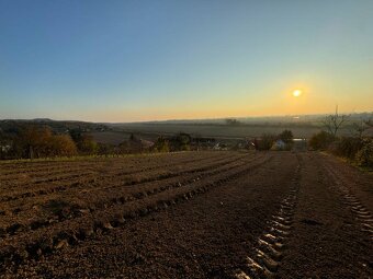 Na predaj: Stavebný pozemok s výhľadom v meste Levice - 8