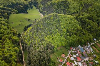 PREDAJ LESNÉHO POZEMKU RAJECKÁ LESNÁ - 8