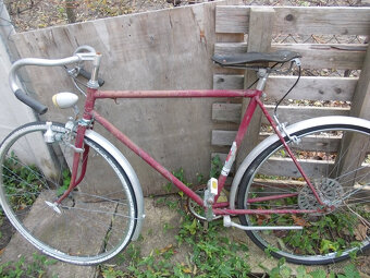 Stary favorit,eska - 8