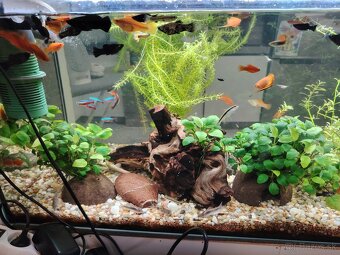 Predám 160l akvárium - 8