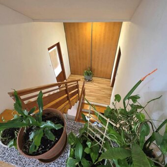 Moderný dvojgeneračný a RD, 380m2, Sečovce, 6a pozemok, foto - 8