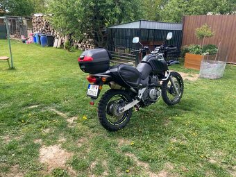 Suzuki XF 650 - 8