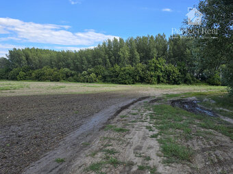 Investičná príležitosť pri Lesnokračanskom jazere, okr. DS - 8