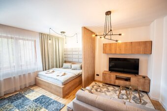 1 - izbový apartmán LISA v staromeštianskom dome LISABETH R - 8